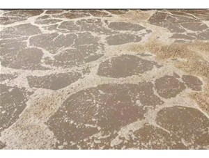 廢水處理中常用的氧化劑和還原劑有哪些？